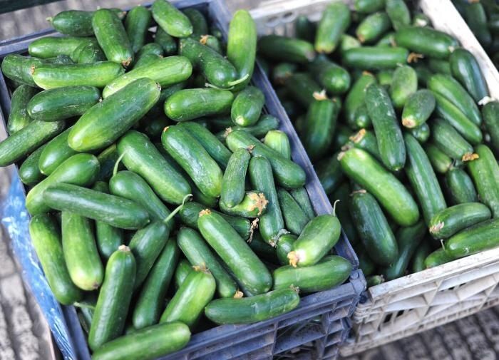 Почему огурцы пустеют внутри: причины и советы по предотвращению проблемы