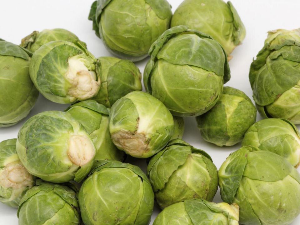 Секреты урожая: как вырастить идеальную брюссельскую капусту