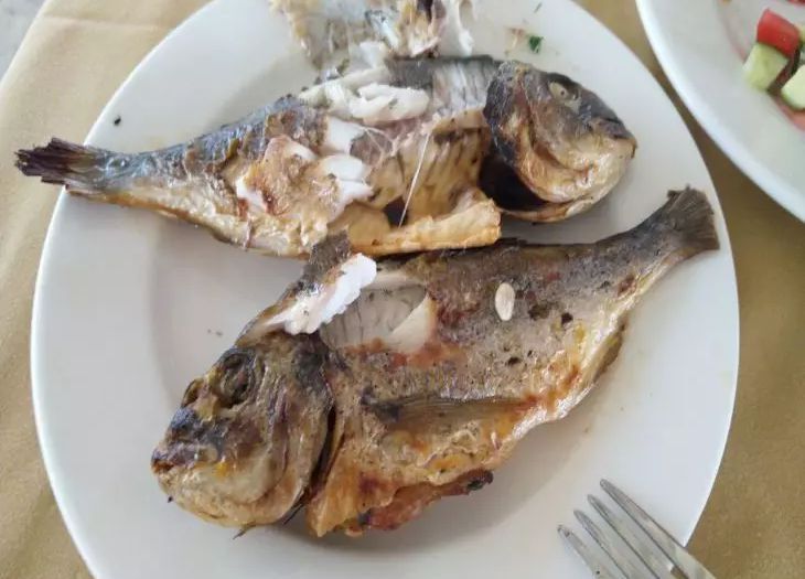 Является ли рыба значительно полезнее курицы, говядины и свинины: что нужно знать