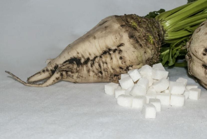 ��� ������ �������� ��� �������: ������������ ���� ����� � ������ � ����������