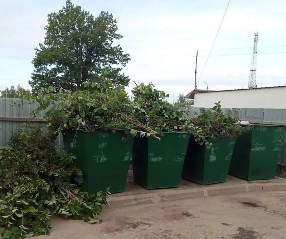 ������������ ������: ����� ������� � ����������