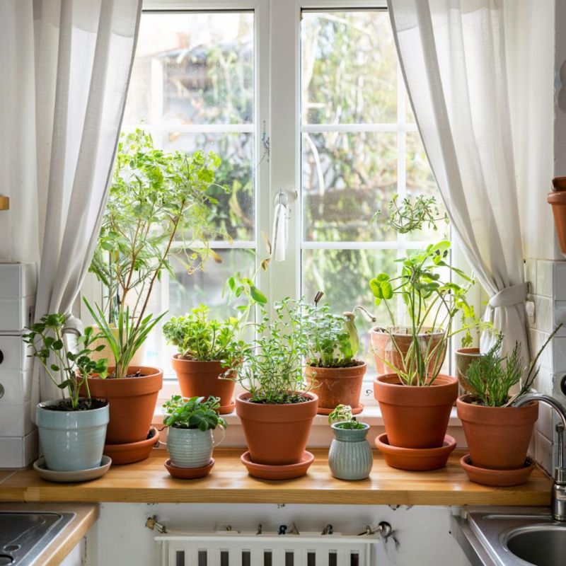 ��� ������� ����� ������� �������: ����������� ��� ������ ������� � ����������� ������� ���