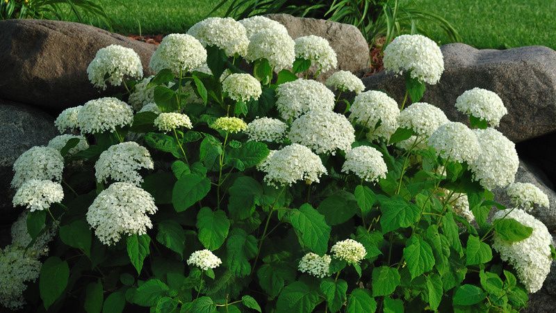 ��� ��������� ��������� ���������� ��������� � ������ ��������� �������