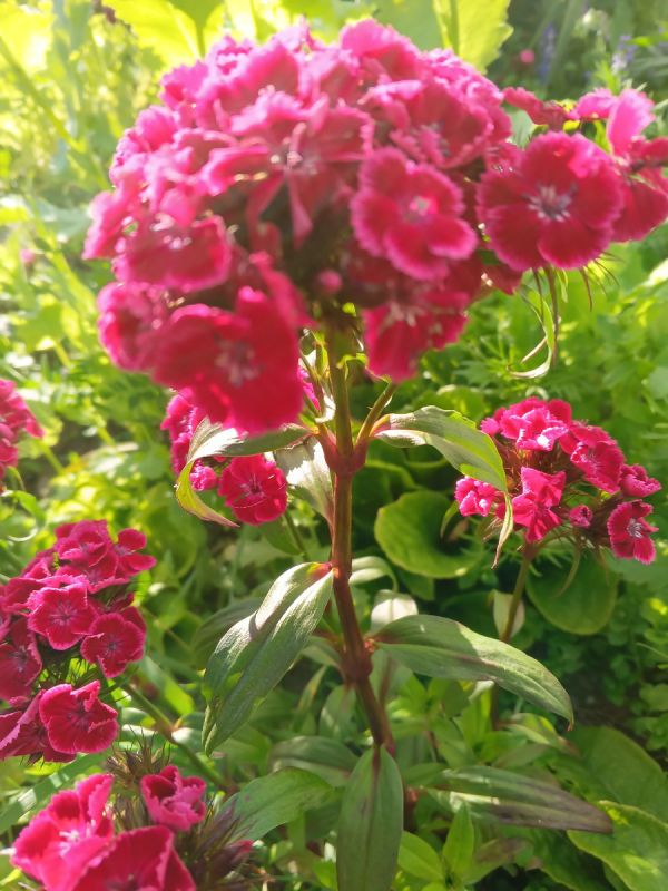 Принимаем возраст с улыбкой: почему морщины — это не повод для грусти