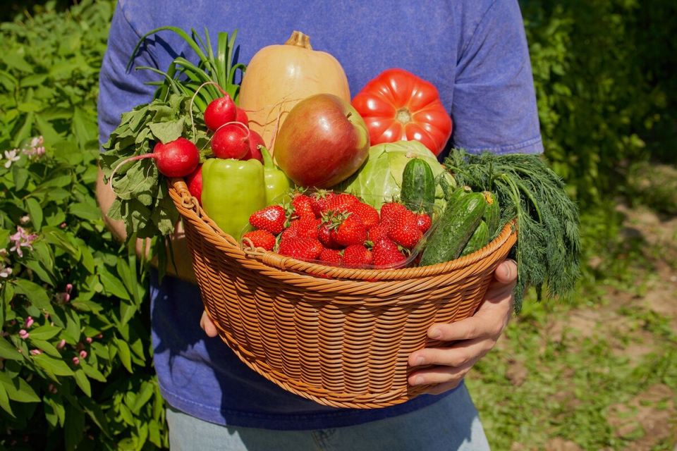 ����������� �������� ��� �������� ������: ������ ������������ �� ����������