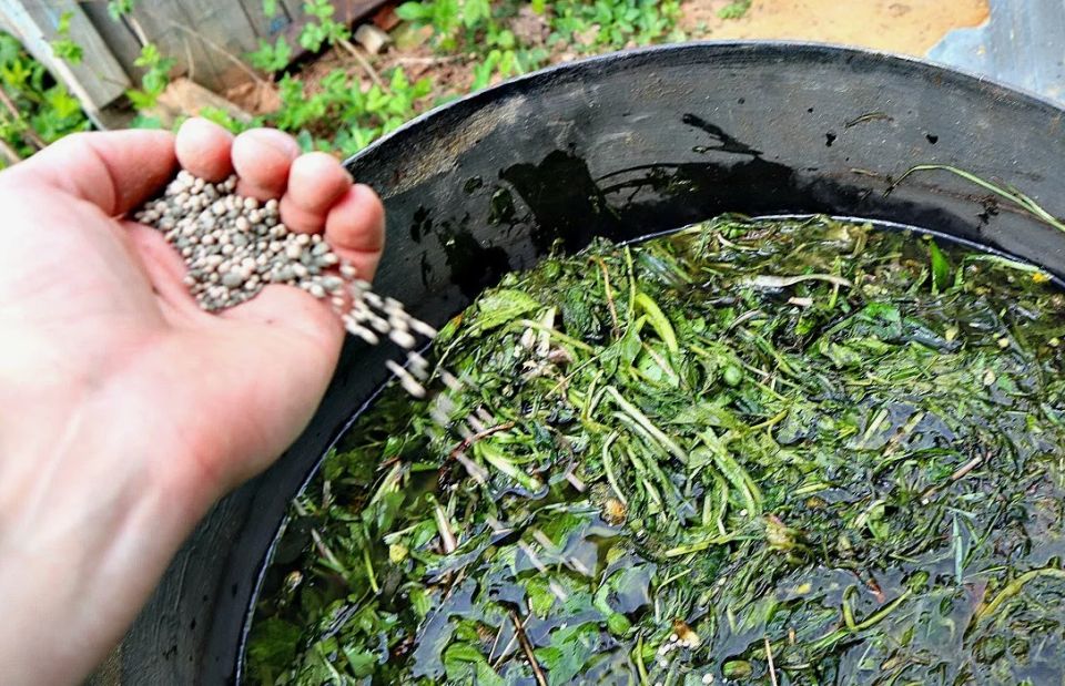 ���������� �������: ��� ��������� ��������� ������� ��������� ��������� ������