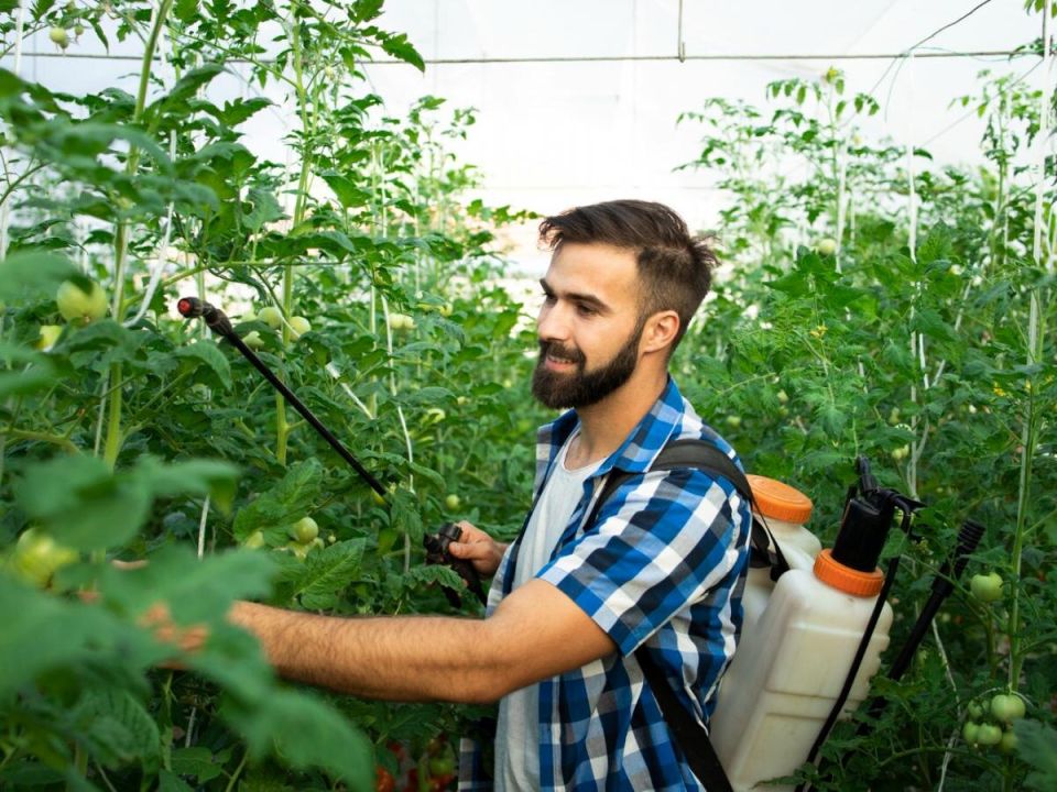 ��� �������� ��� �� ����������: ����������� ������ ������ � ������