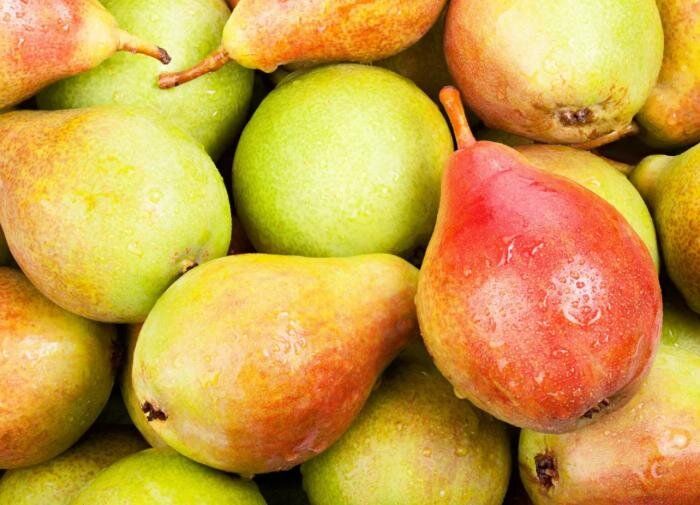 Груша Дюшес: королева фруктов для вашего сада с ароматом лимонада