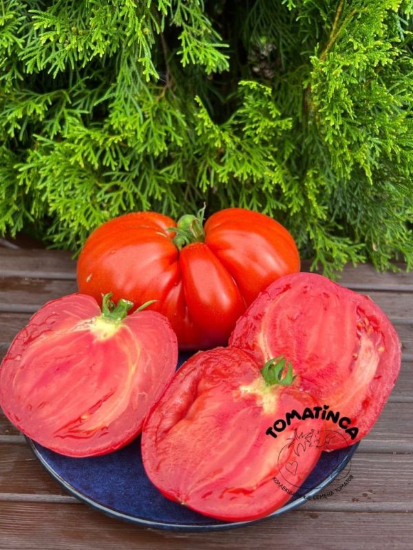 ��������� ����� � ������������ ����: ����������� � ������� ����