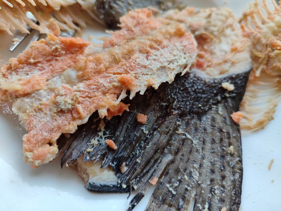 ����� �� �������: ��� ������� ���� � ����� ������� ��������� �������