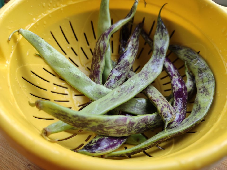 ��������� ������: ���������� ������ ��� ����������� ��������