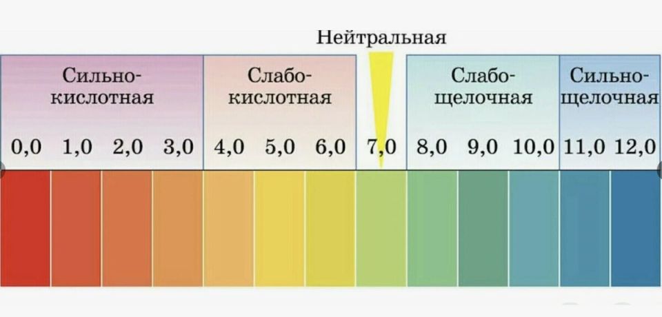 ��� ���������� ����������� ����� � ������� ����������� �������� ��� �����������