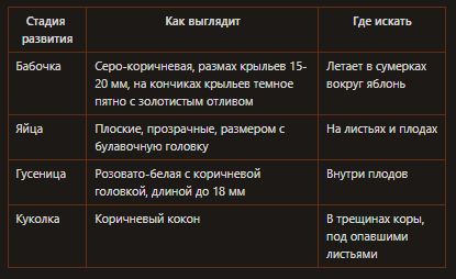 ��� �������� ���� ��� �� �������� ����������: ������� � ����������� ������