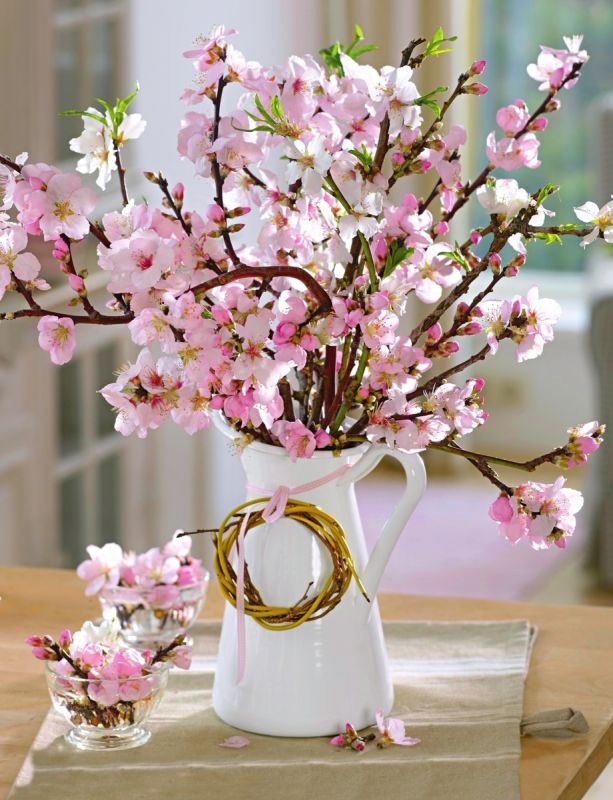 �������� �����������: ����� ������� � ���������� ����� �������� ��� ���