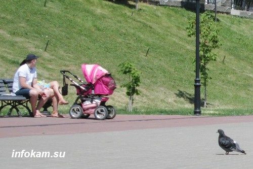 ���������� ����� � 2026 ����: ������� ����� �� �������?