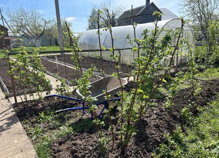 ��� �������� ������ �� ������������ ��������: �������� ������ ��� ���������