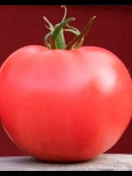 ����� ������ �������: ������� ��������� ����������� ������� ������