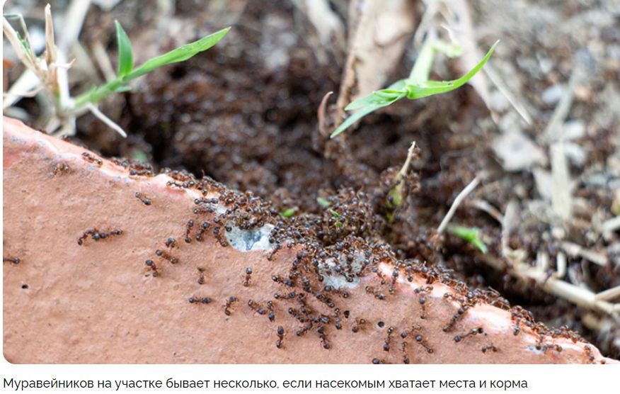 ������� � ����: ��� ���������� �������� � ����������� ��������