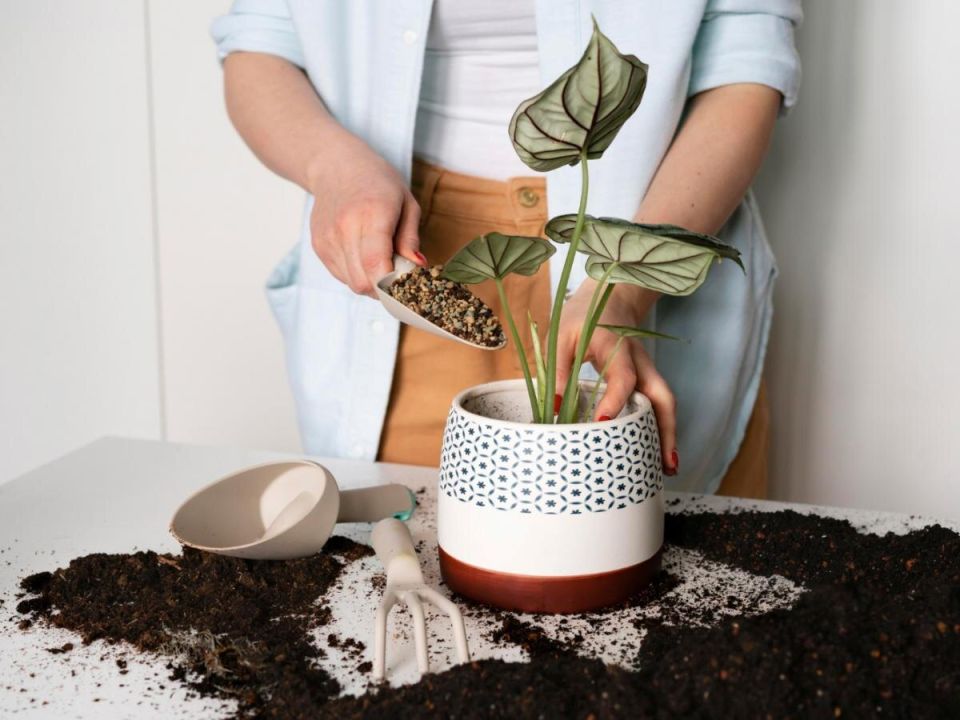 ����� �������� � �������� ������� ������������� ����� � ����������� � ������