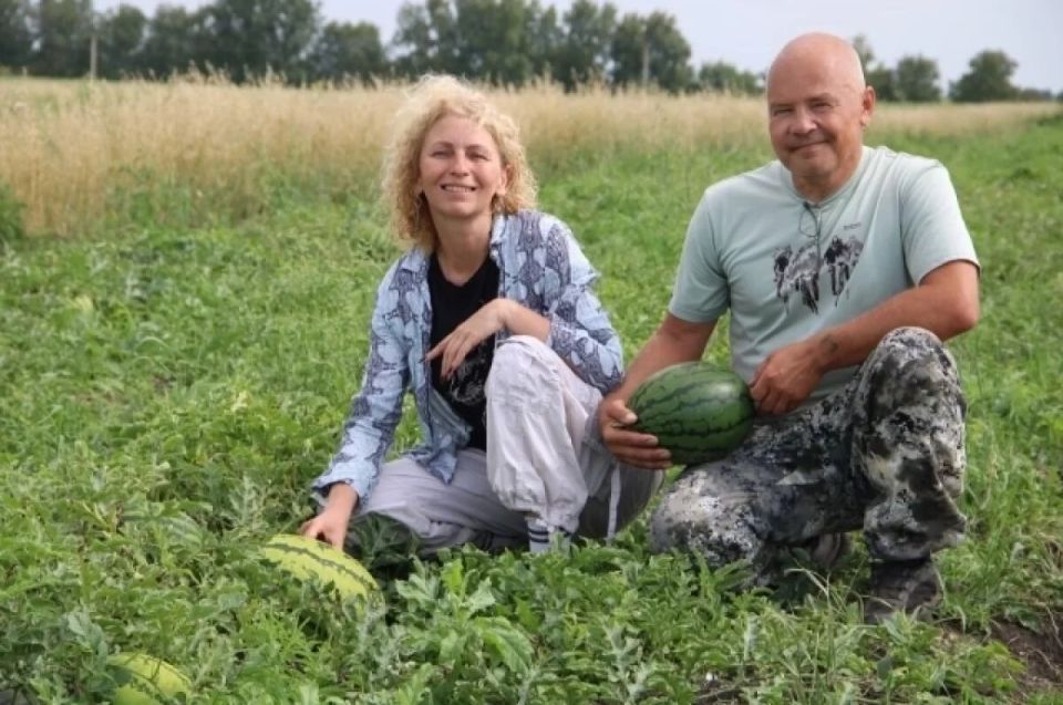 Слияние суровой Сибири и сладких арбузов: как фермеры выращивают арбузы и ягоды в Омской области