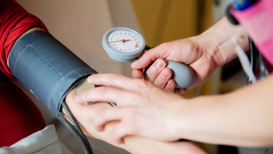 ������ ����������: ������ �������� ����������� �� �������� �������� ��������