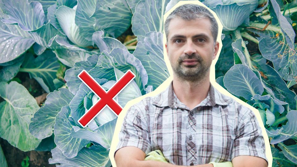 ������ �������� ������ ���������� � ��� �� ������: ��� ����� ��� ����� ��������