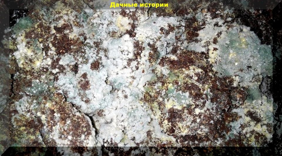 ��� �� ������� ���������� ����������: ����������� �� �������� ����