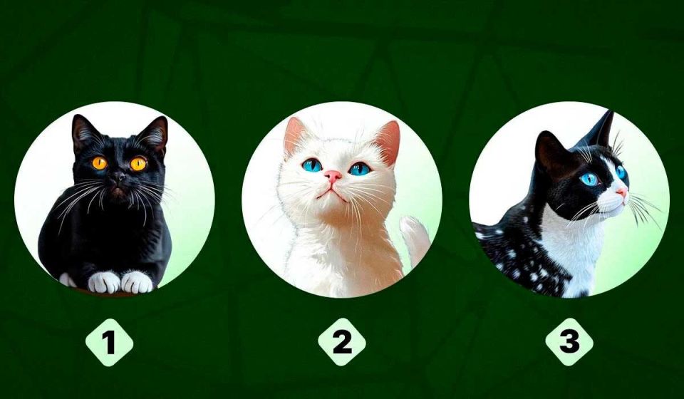 Выберите кота и узнайте, насколько вы «сложный» человек