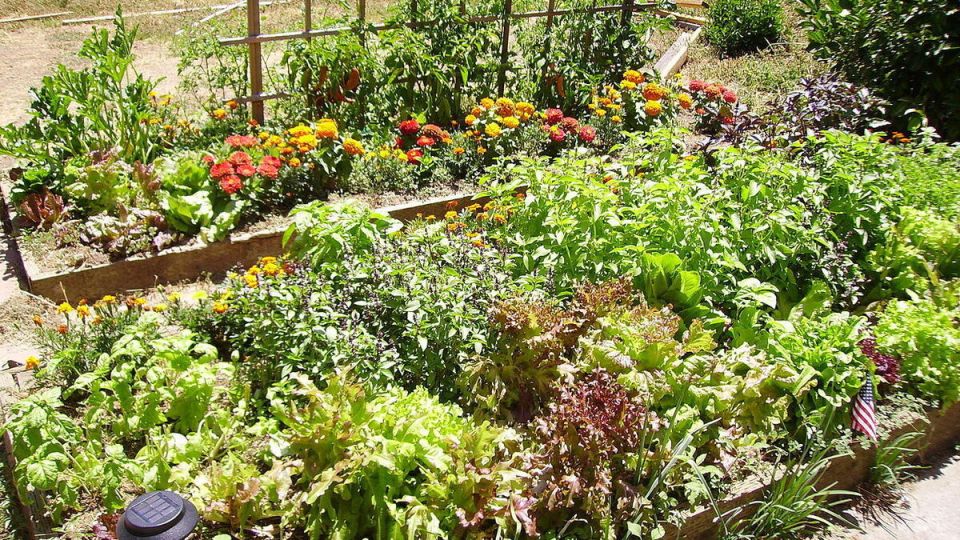 ��� ��������� �������� � ������ �� ������� ��� ������ ������