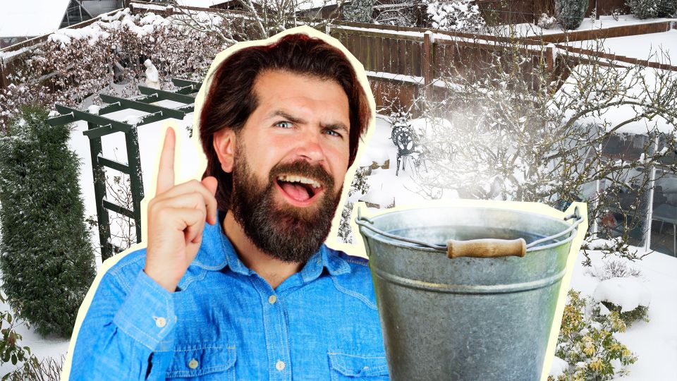 ������ ��� ������������: �������� �� ������� �������� � ����������� ��������