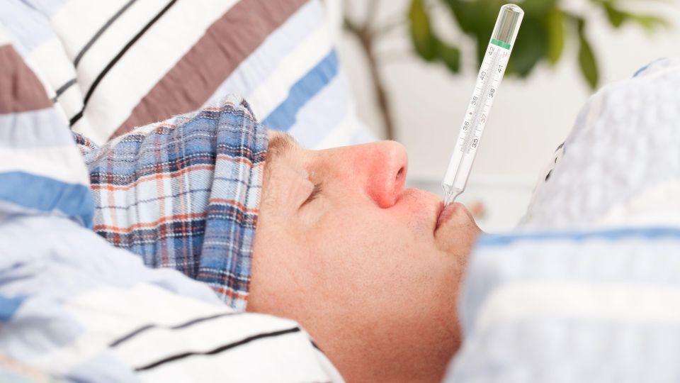 ����������� � ���� ���: ���� ����������� � ������������ ������� ������