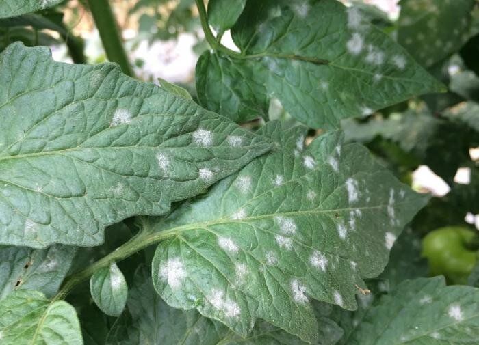 �������, �� ������� � ��������� ������ ������