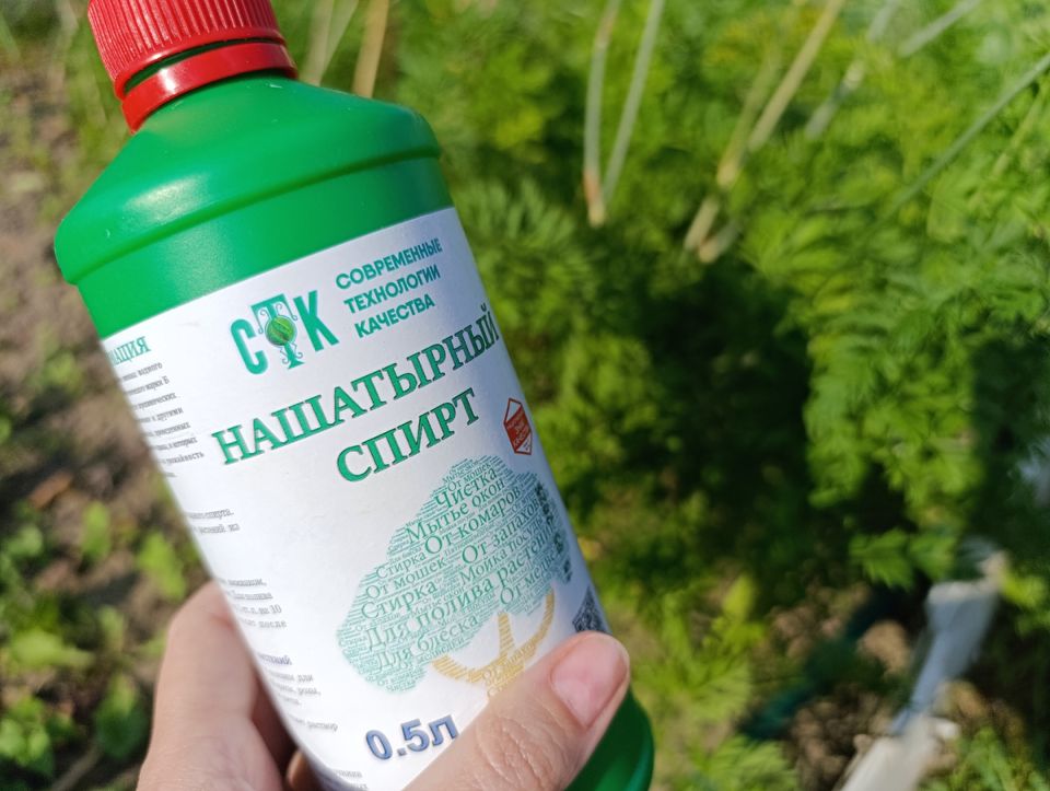 ��� �������� ����� ������ ��� ��� �� ���������� � �������� ������