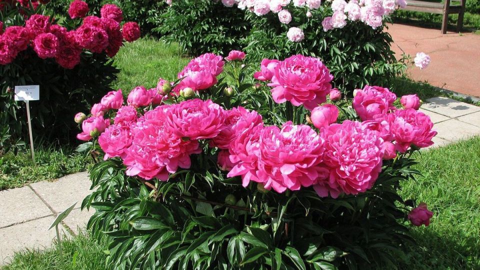 ��� ������� ��������� ��������� � ������� � ����