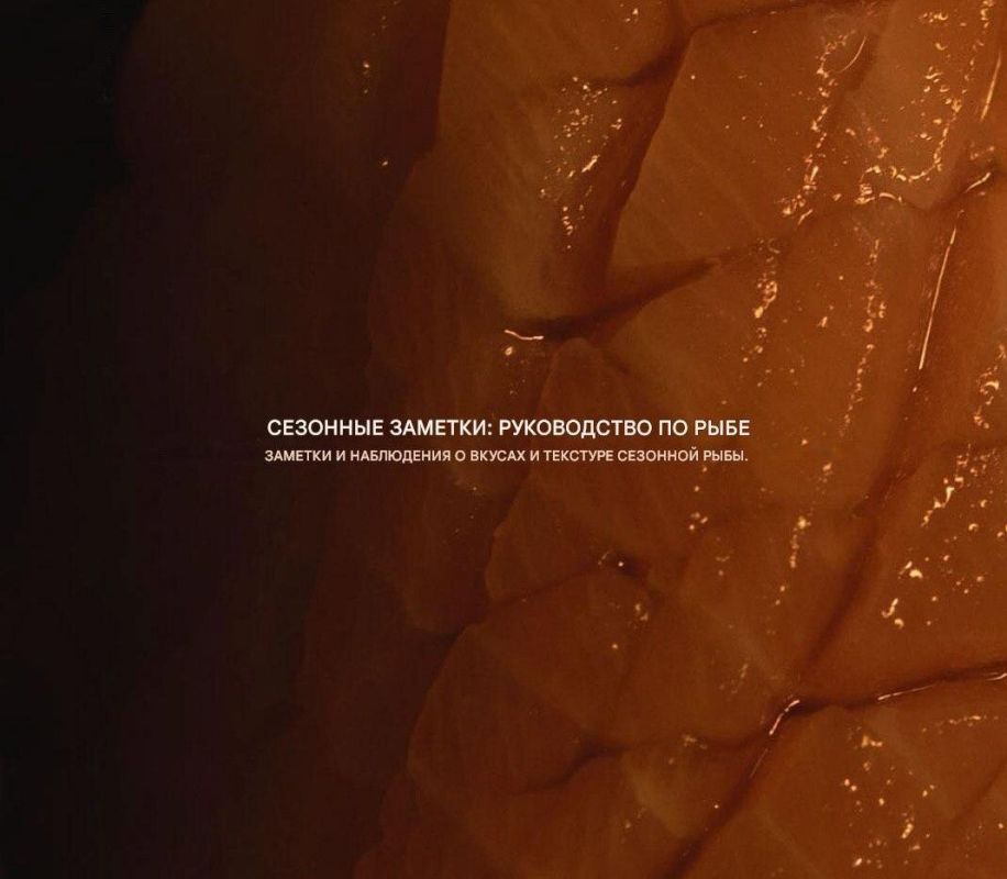 Как выбрать рыбу: советы для начинающих