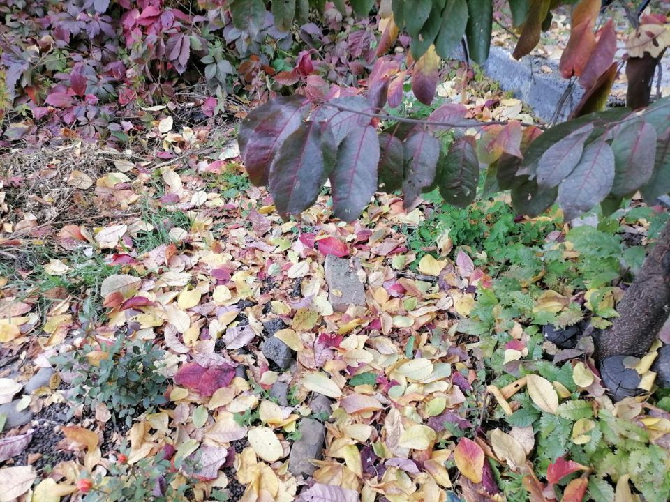 ���������� ��� �� ����� ������� ������� � �����