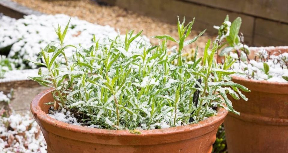 ��� ��������� ������ ����� �����: ������ ��������