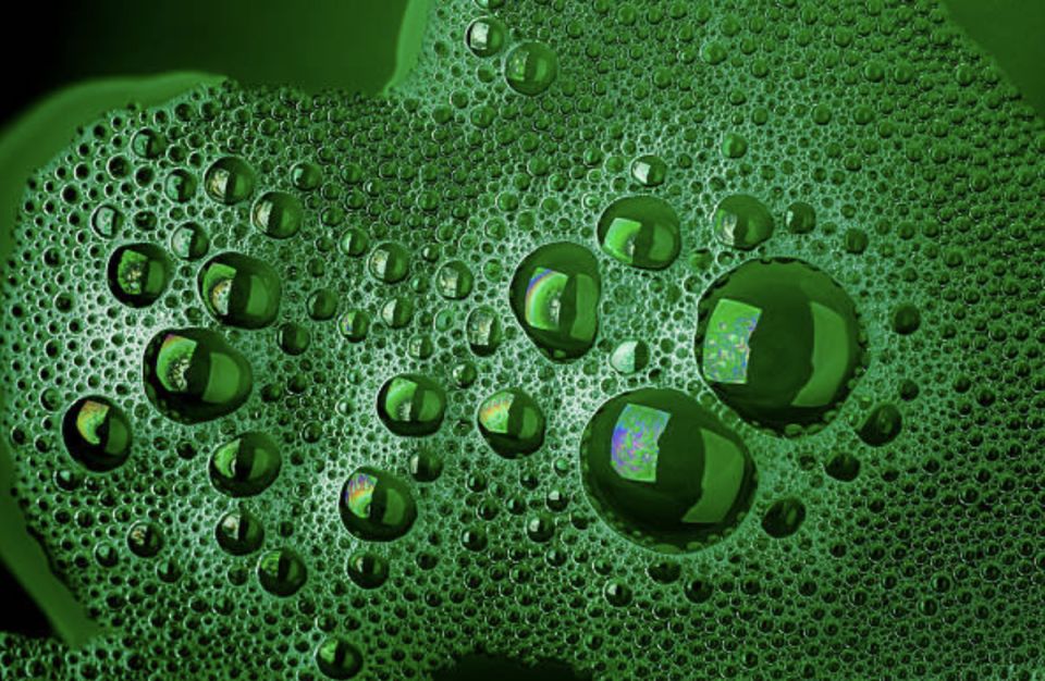 ������� ����: ����������� �������� � ����