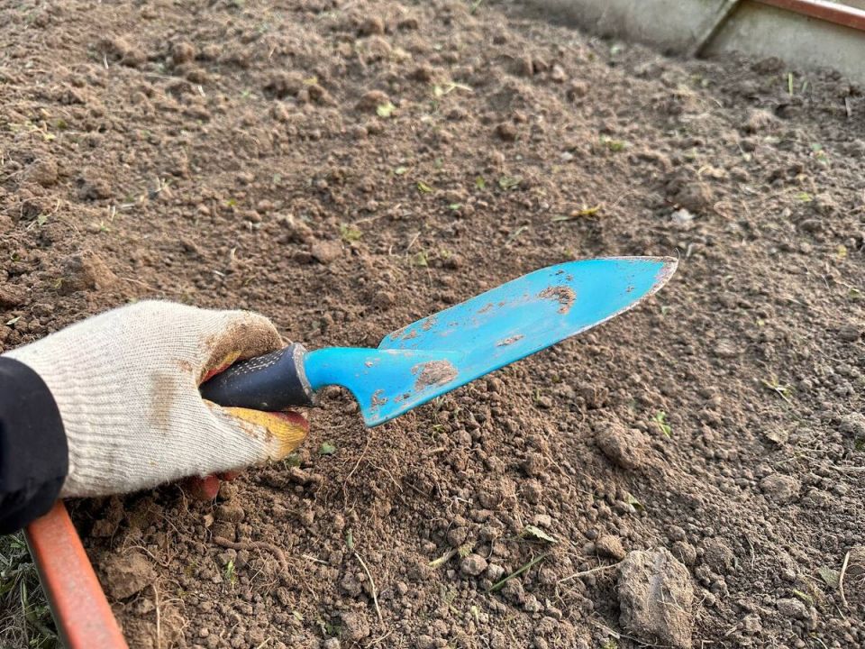 7 ����������� �������� �������� ���������� �� �������� �� ����