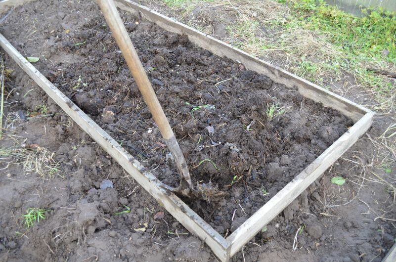 ��� ��������� ����������� ������ ��� ������� ������� ����-�����