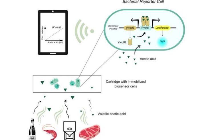 ����� ��������� �������� ���� � ������������� ����