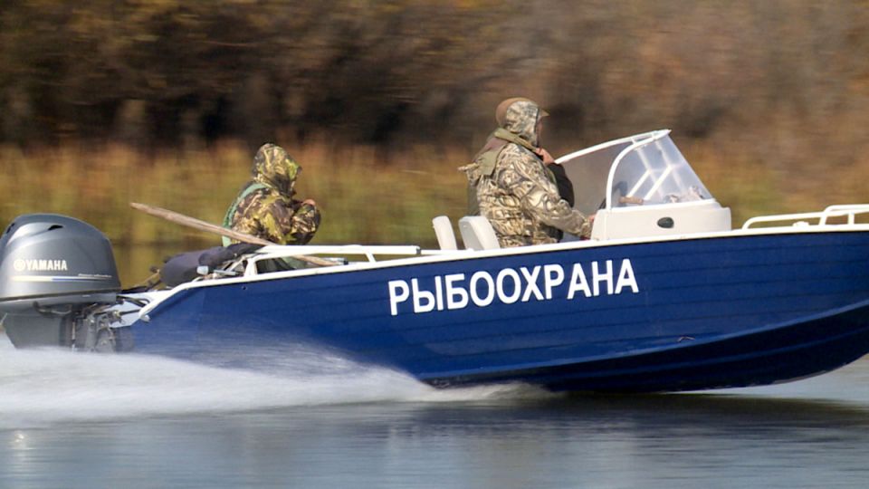 ������� ������������ ���� ��� ������ ������ ����� ����