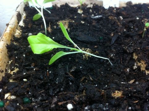 ������� ������ �������: 7 ����������� ������ �� ������