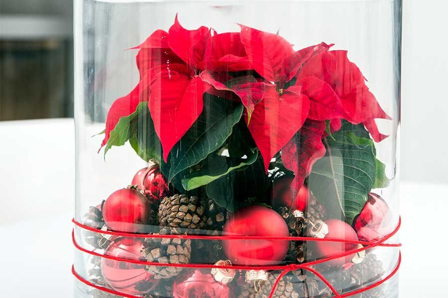 ��������� ���������� �������: ��� ������� ������� ���� � ����������� ������ ������