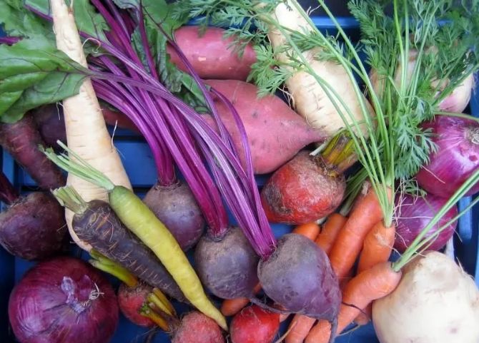 ������ �� ������ �����������: ��� ��������� ������ �� �����