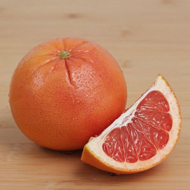 ���������: ���������� � ������ ������� ��������� � ��������