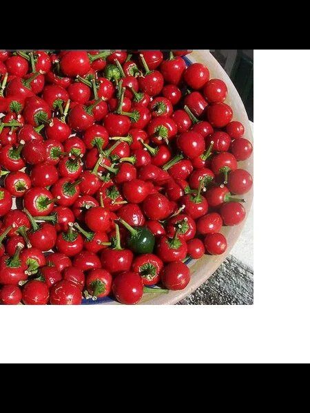 ����� ������: ��� ��������� ����� ������ ��� ���� � �����������