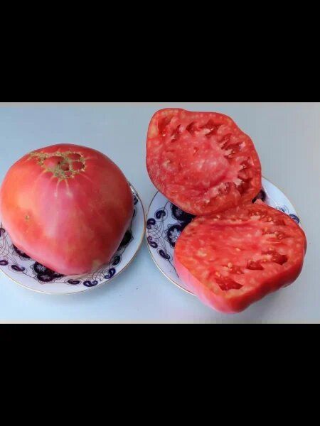 ��������� �������: ��� ��������� ������� ������� ������ � �� ������ �� �����