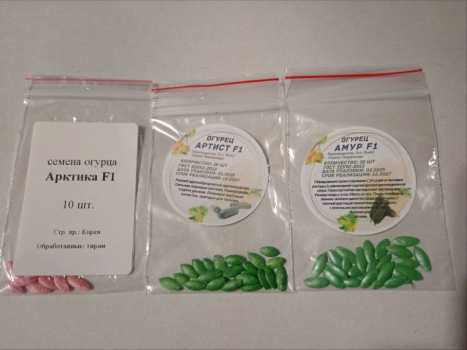 Огурцы для теплицы: что выбрать для великолепного урожая