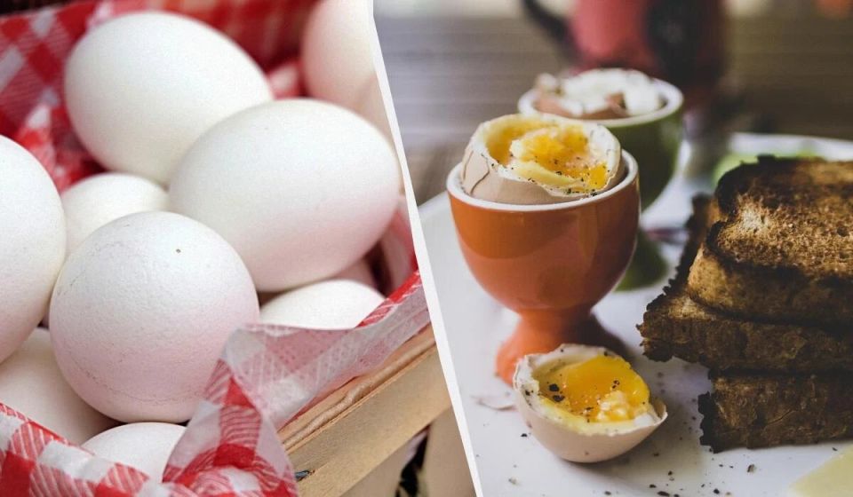 ��� ������� ��������� ����: ������� ���-������